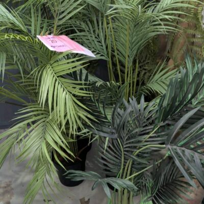 EX STAGING - LOT OF 5 FAUX PLANTS SOLD AS IS
