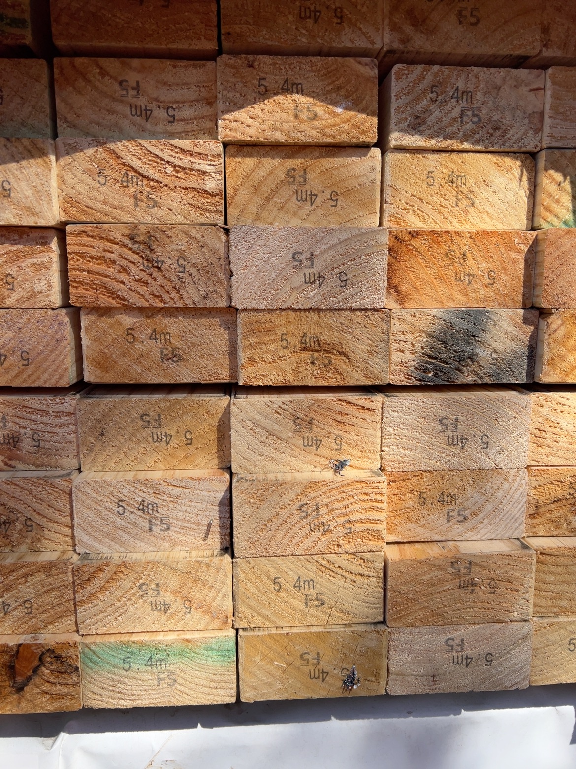 90X45 PINE F5 112/5.4 90X45 PINE F5 112/5.4