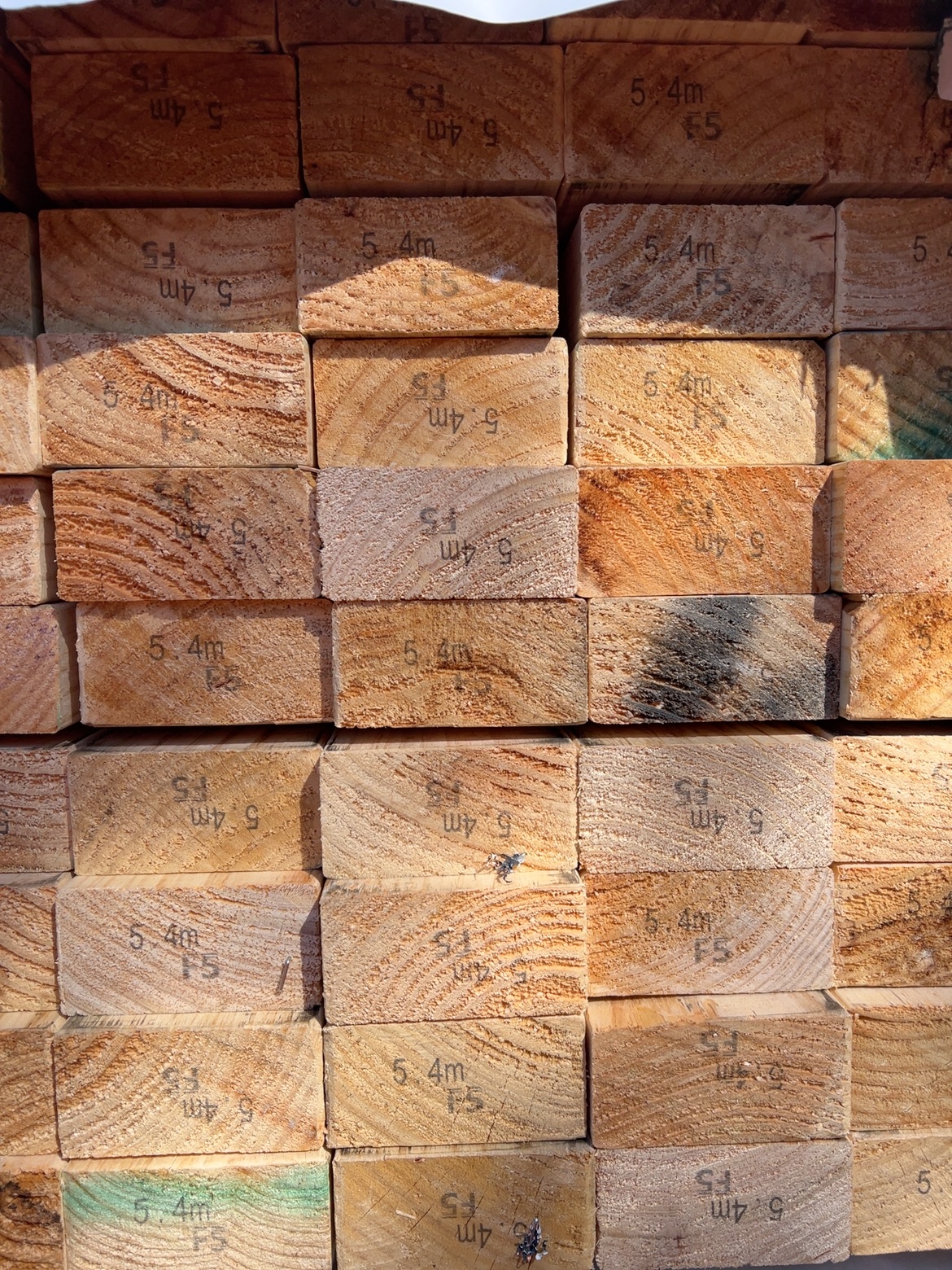 90X45 PINE F5 112/5.4 90X45 PINE F5 112/5.4